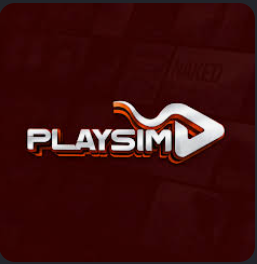 Logo PlaySim